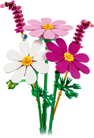 Botanical Collection