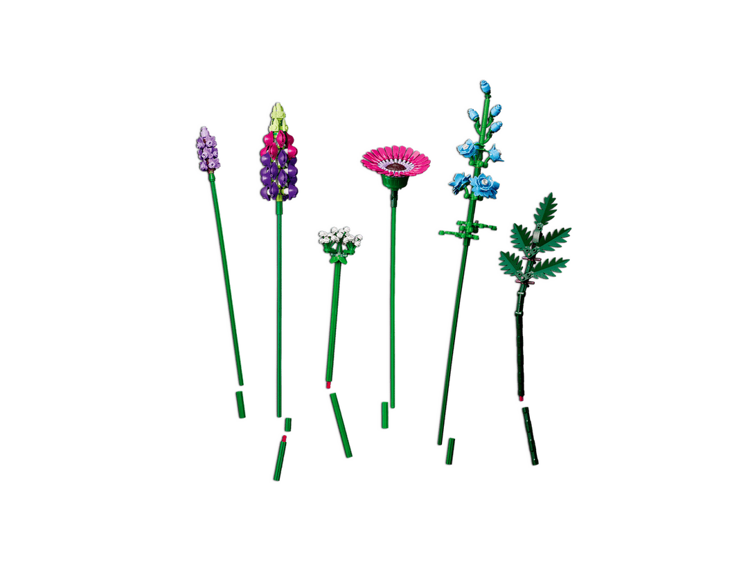 לגו Botanicals - זר פרחי בר (10313)-6
