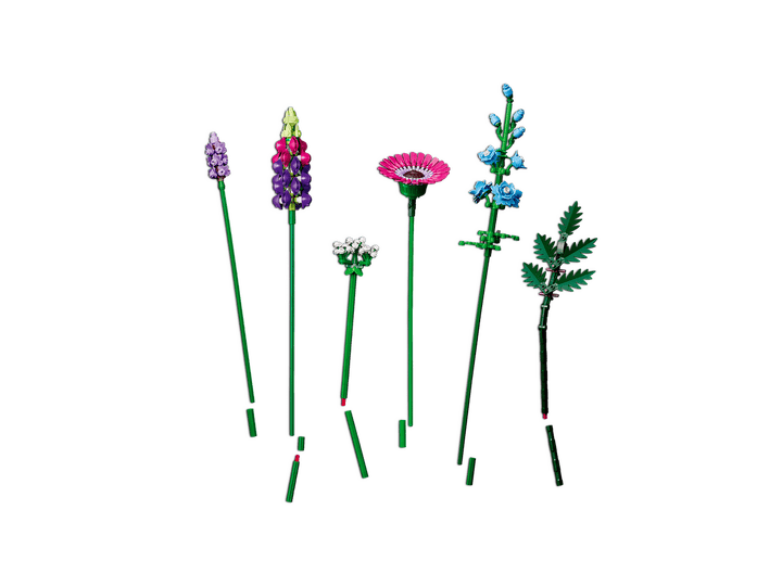 לגו Botanicals - זר פרחי בר (10313)-8