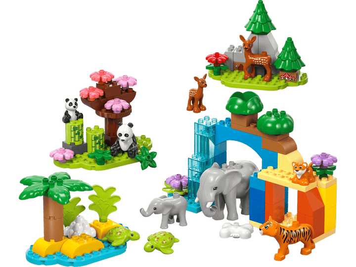 לגו DUPLO® - משפחות של חיות בר סט 3 ב-1 (10446)-1