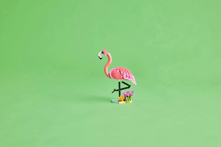 לגו Creator 3in1 - חיות בר: פלמינגו ורוד (31170)-10