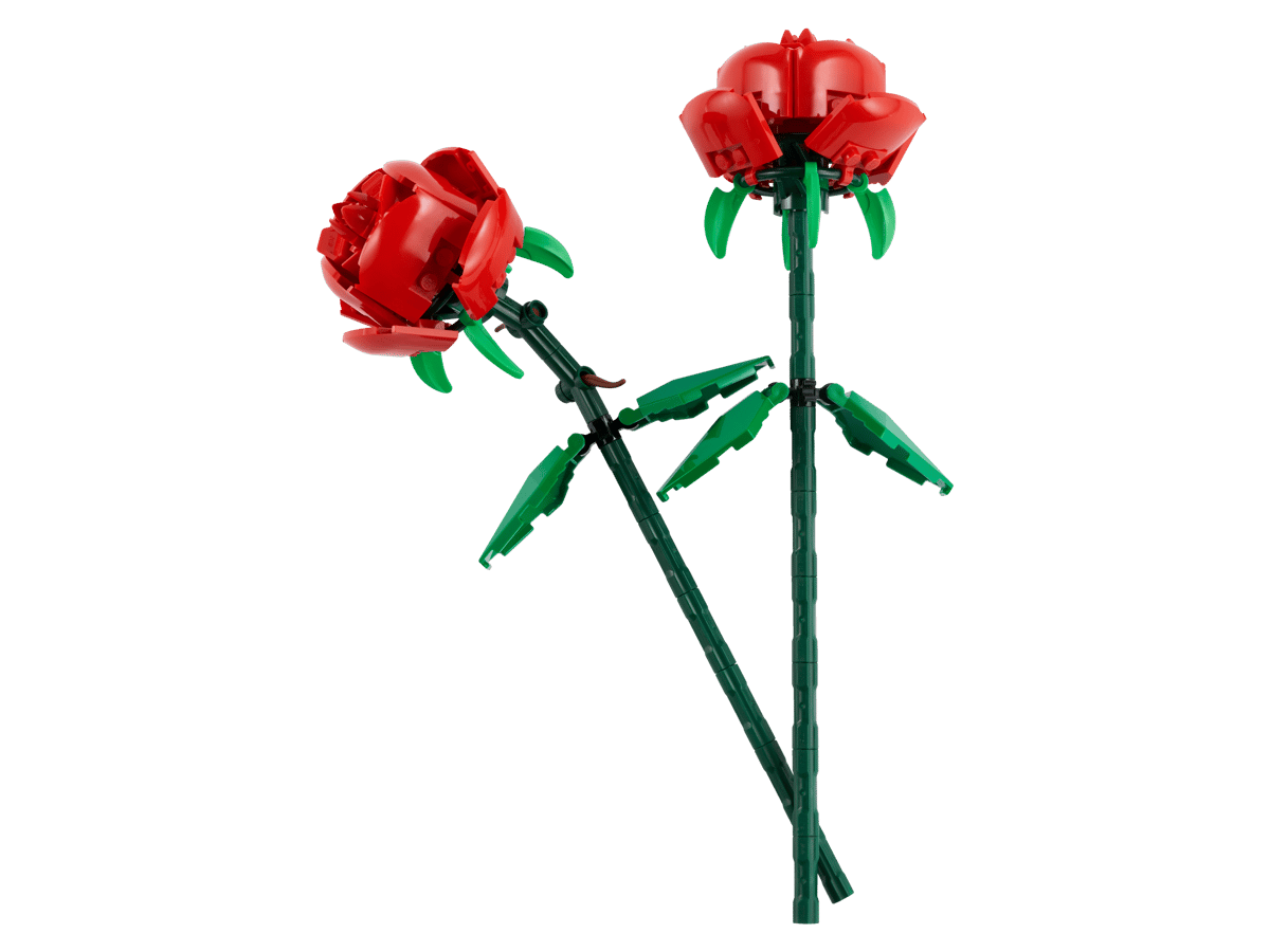 לגו Botanicals - ורדים (40460)-1
