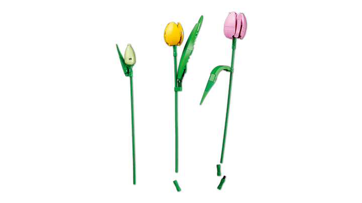 לגו Botanicals - זר צבעונים (11501)-15