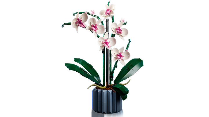 לגו Botanicals - Orchid (10311)-3