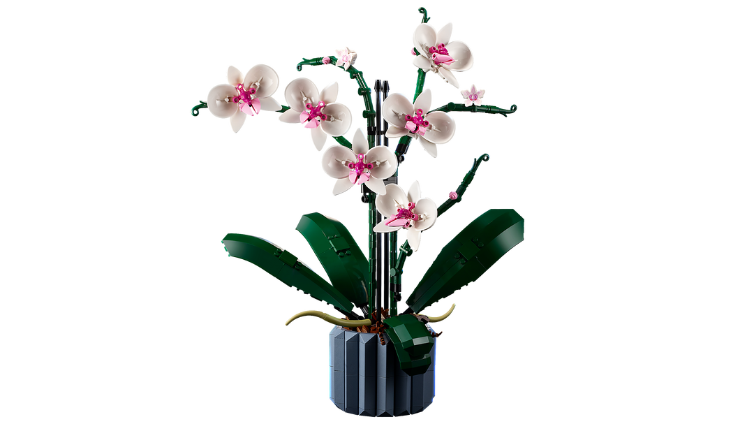 לגו Botanicals - Orchid (10311)-4