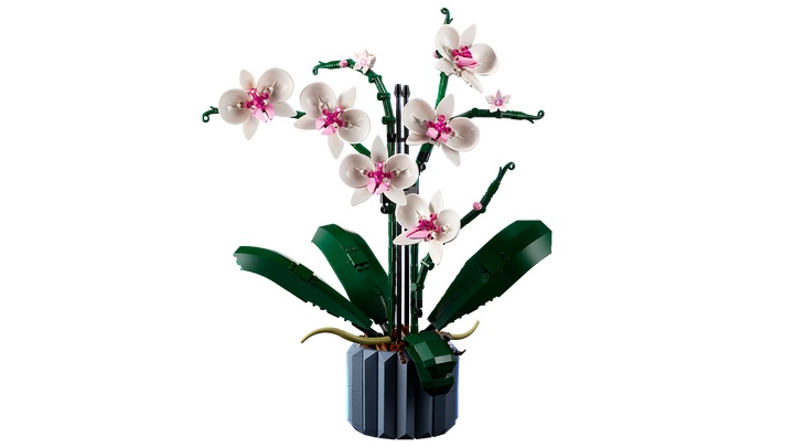 לגו Botanicals - Orchid (10311)-4