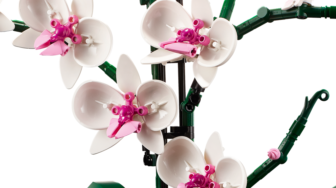 לגו Botanicals - Orchid (10311)-5