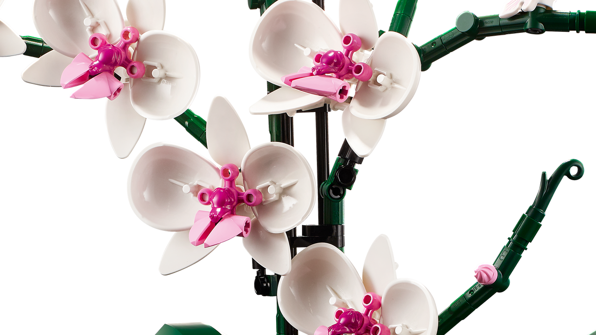 לגו Botanicals - Orchid (10311)-5