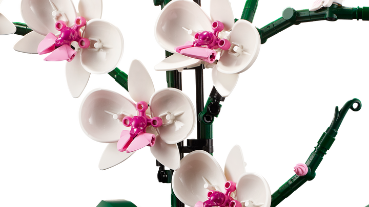 לגו Botanicals - Orchid (10311)-5