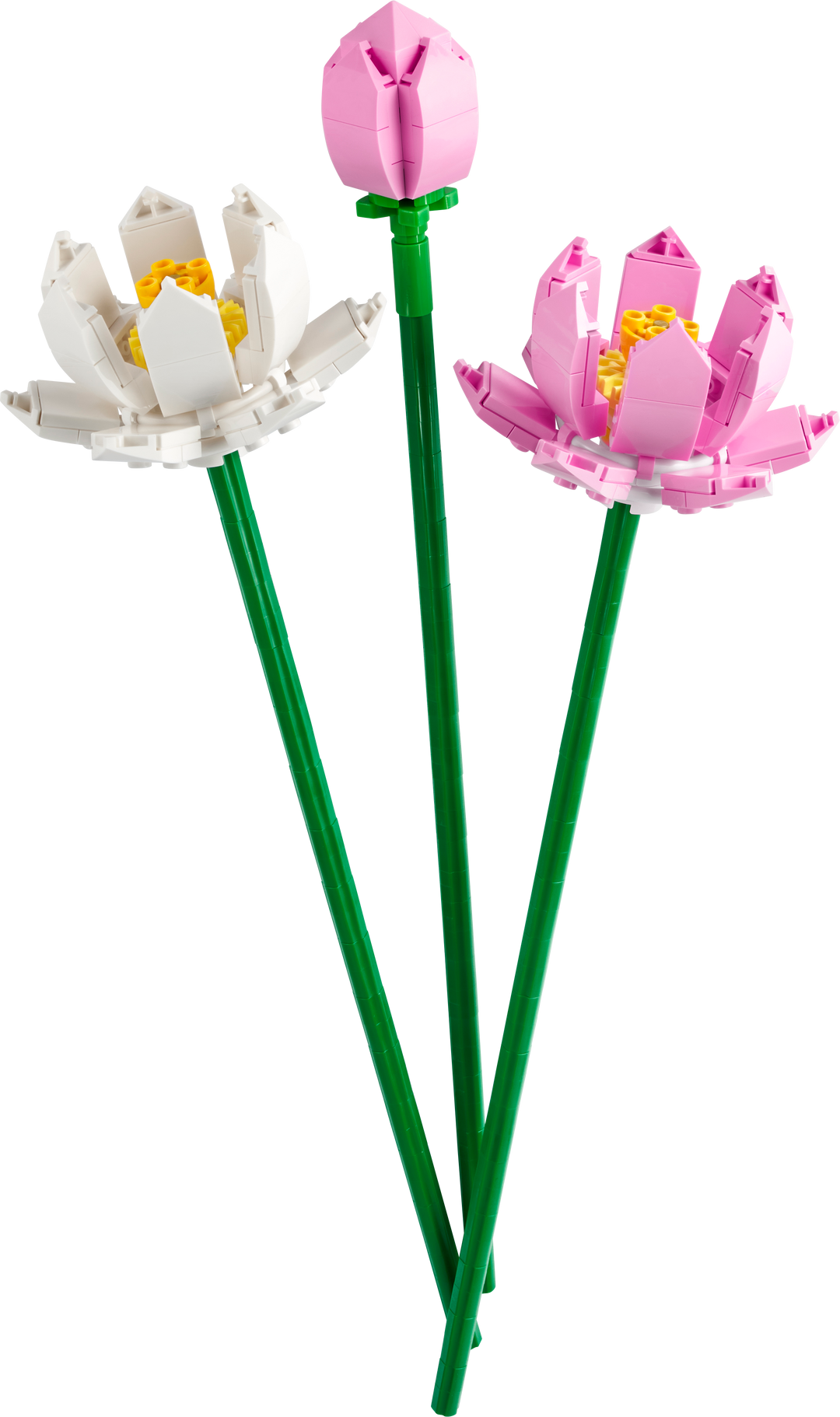 לגו Botanicals - פרחי לוטוס (40647)-0