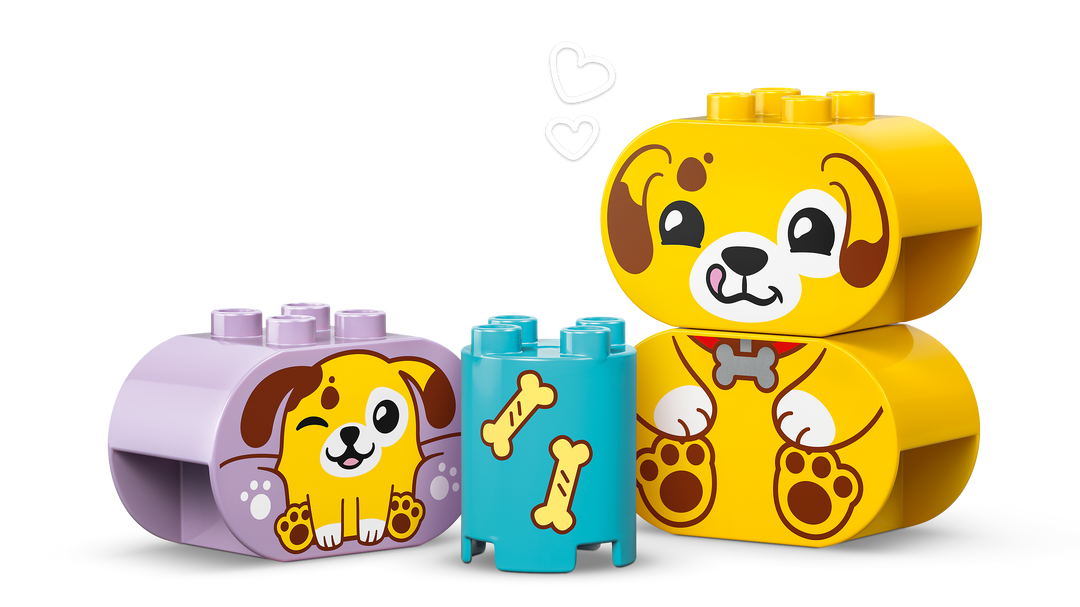 לגו DUPLO® - התאמת צורות: מלונת כלבלבים (10441)-2