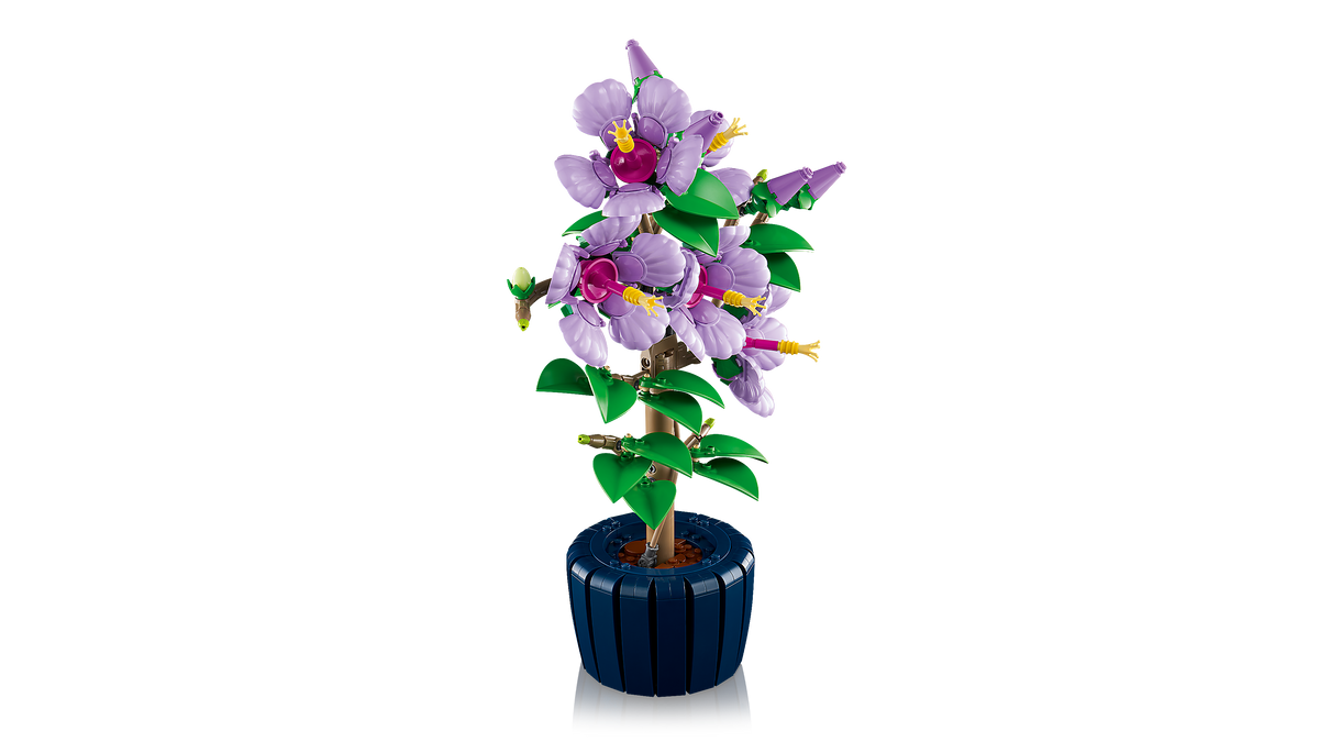 לגו Botanicals - היביסקוס (10372)-4