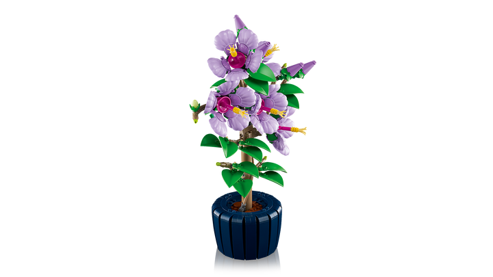 לגו Botanicals - היביסקוס (10372)-5