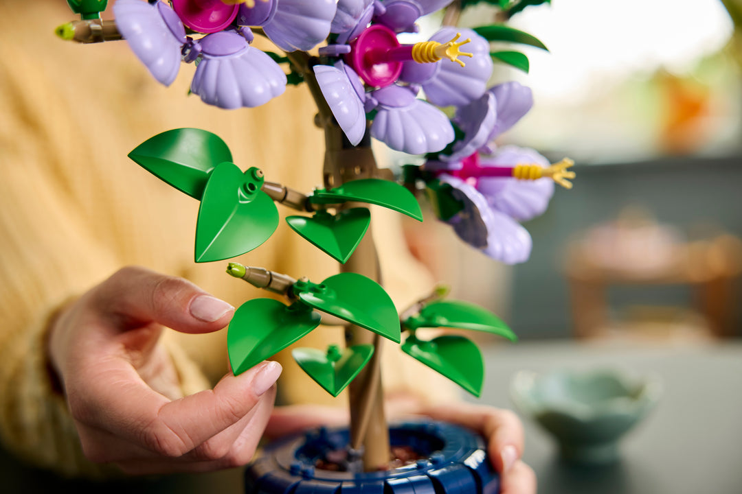 לגו Botanicals - היביסקוס (10372)-10