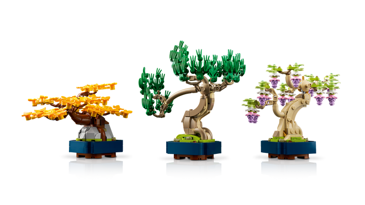 לגו Botanicals - מיני עצי בונסאי (10373)-4