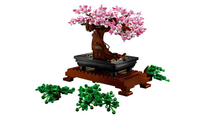 לגו Botanicals - עץ בונסאי (10281)-5