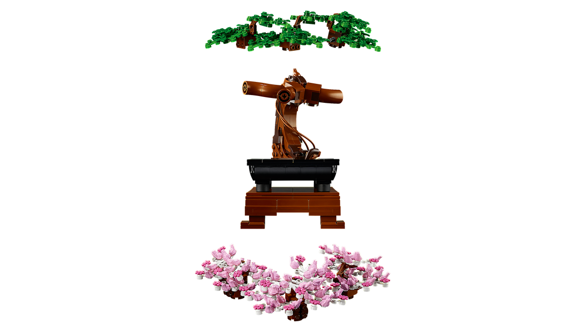 לגו Botanicals - עץ בונסאי (10281)-6