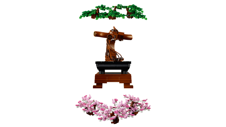 לגו Botanicals - עץ בונסאי (10281)-6