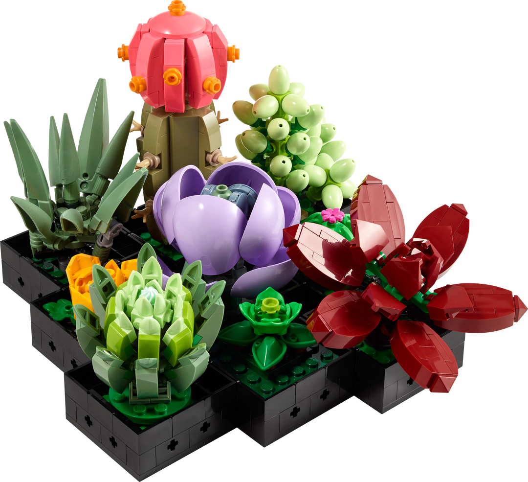לגו Botanicals - Succulents (10309)-0