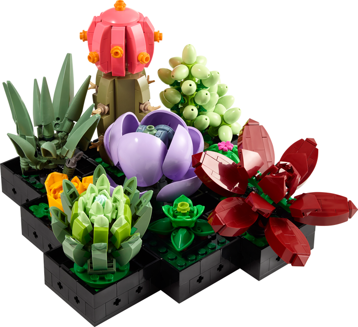לגו Botanicals - Succulents (10309)-1