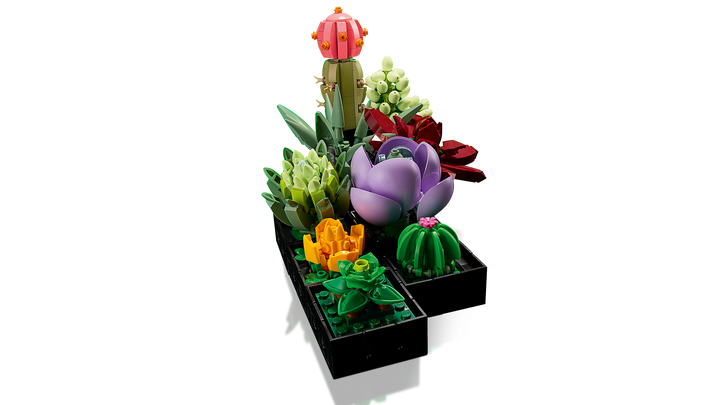 לגו Botanicals - Succulents (10309)-3