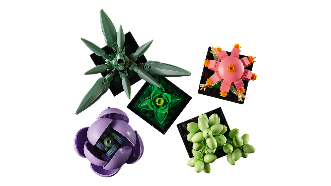 לגו Botanicals - Succulents (10309)-3