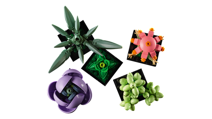 לגו Botanicals - Succulents (10309)-4