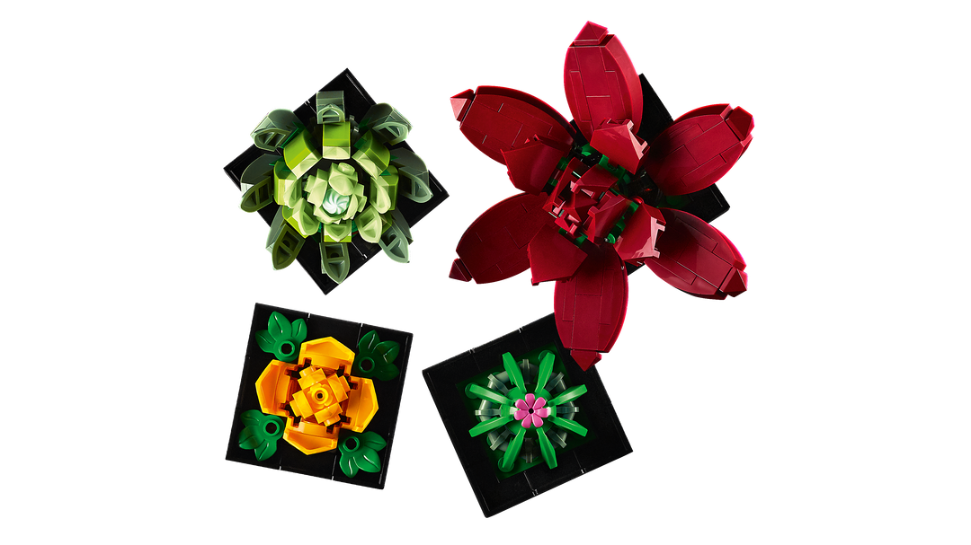 לגו Botanicals - Succulents (10309)-4