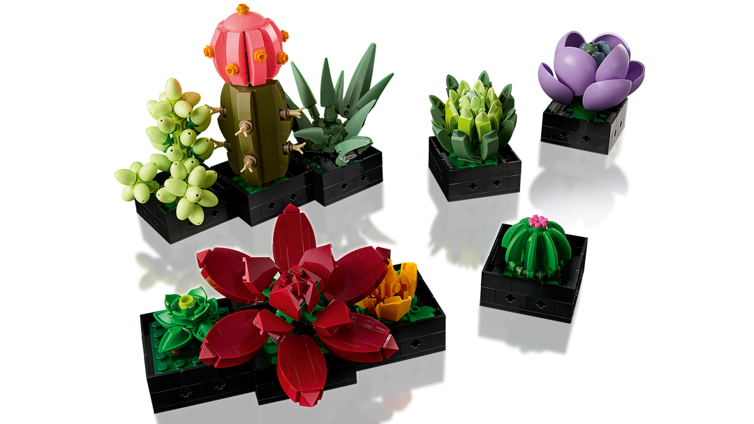 לגו Botanicals - Succulents (10309)-5