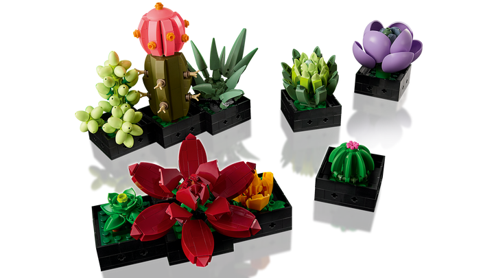 לגו Botanicals - Succulents (10309)-6