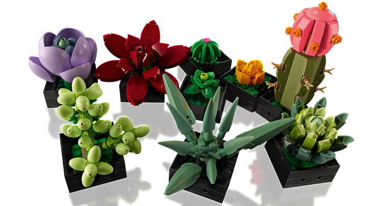 לגו Botanicals - Succulents (10309)-7