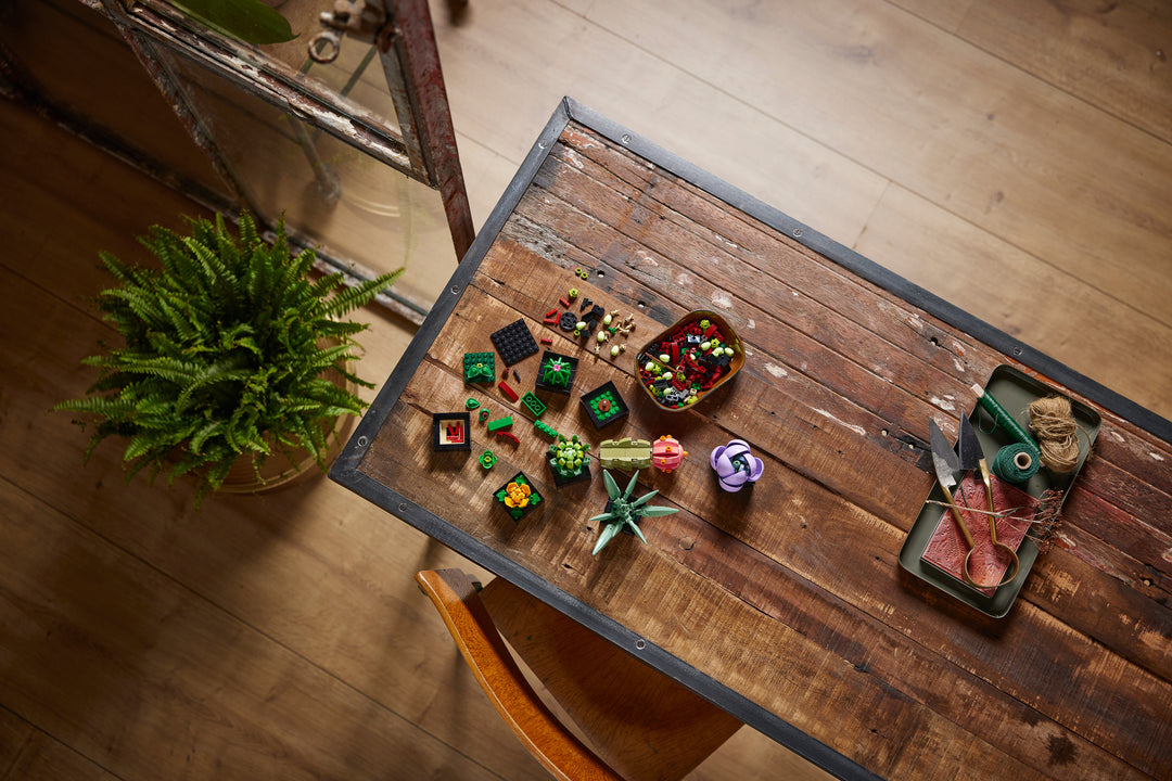 לגו Botanicals - Succulents (10309)-7