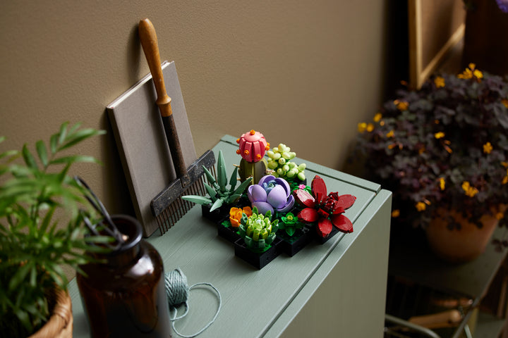 לגו Botanicals - Succulents (10309)-10