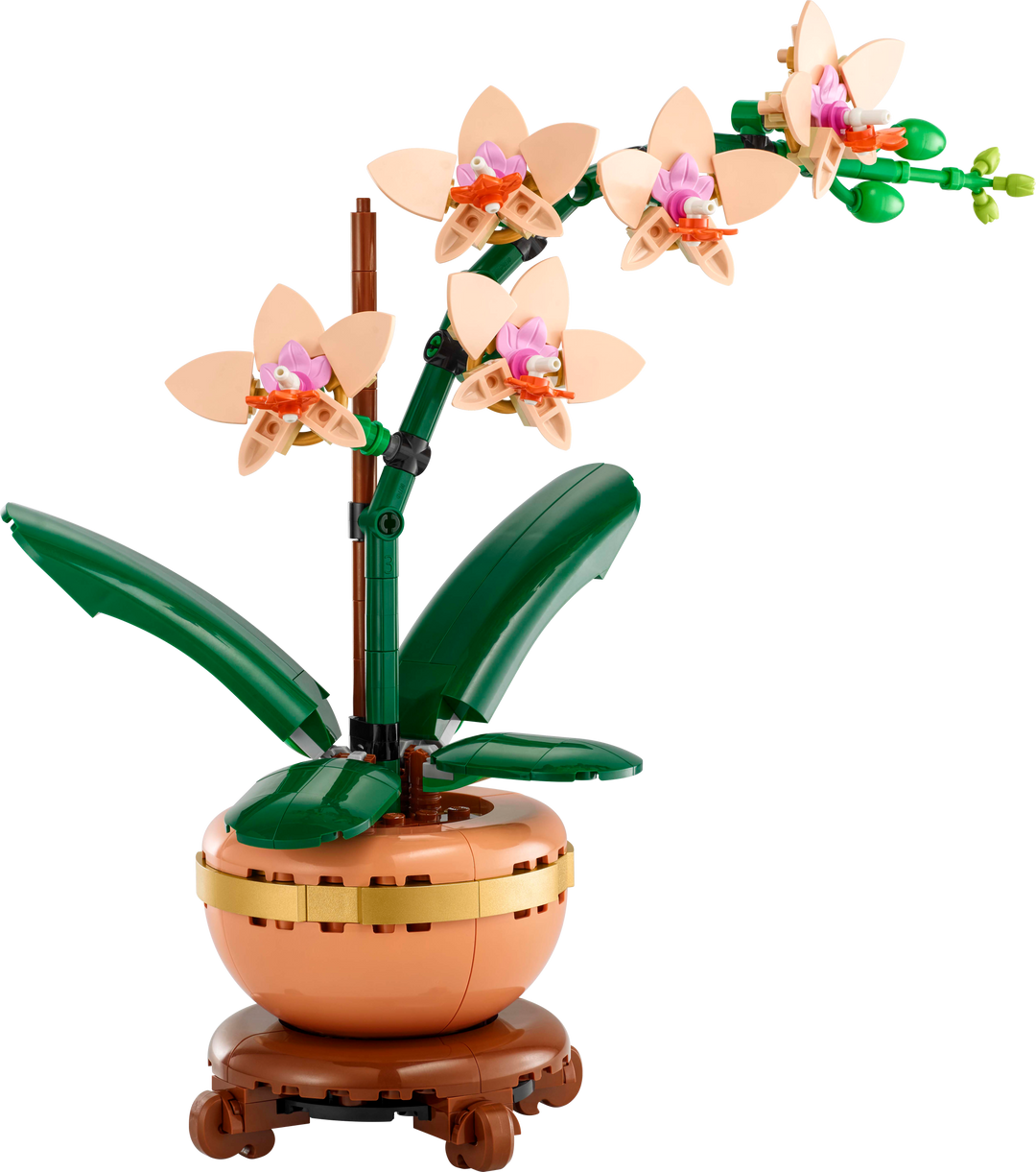 לגו Botanicals - מיני סחלב (10343)-0