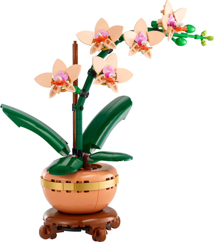 לגו Botanicals - מיני סחלב (10343)-1