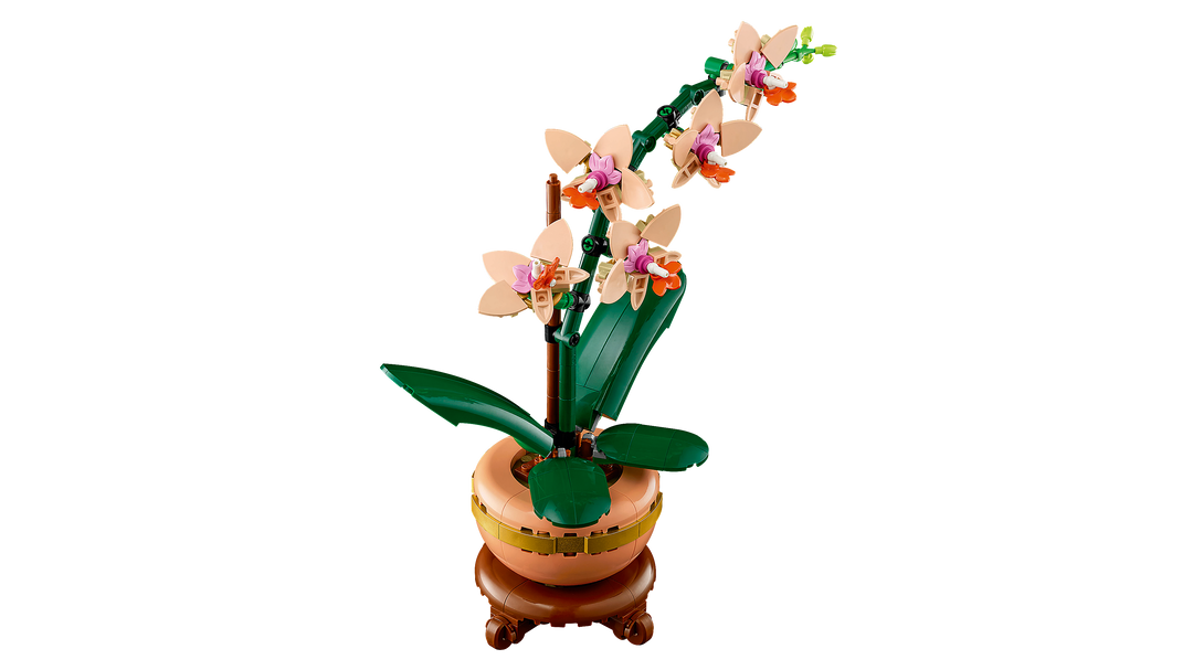 לגו Botanicals - מיני סחלב (10343)-2