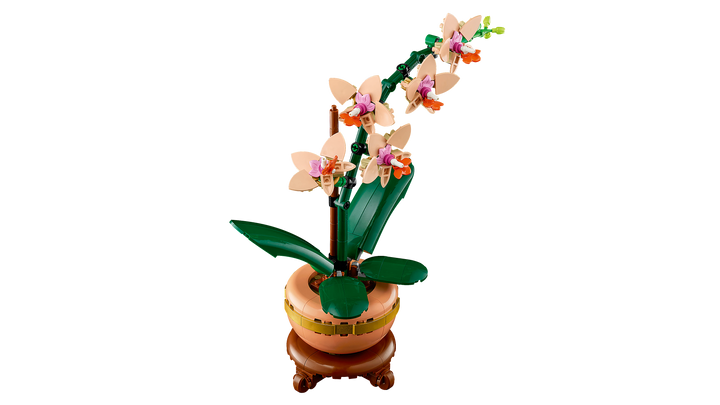 לגו Botanicals - מיני סחלב (10343)-3