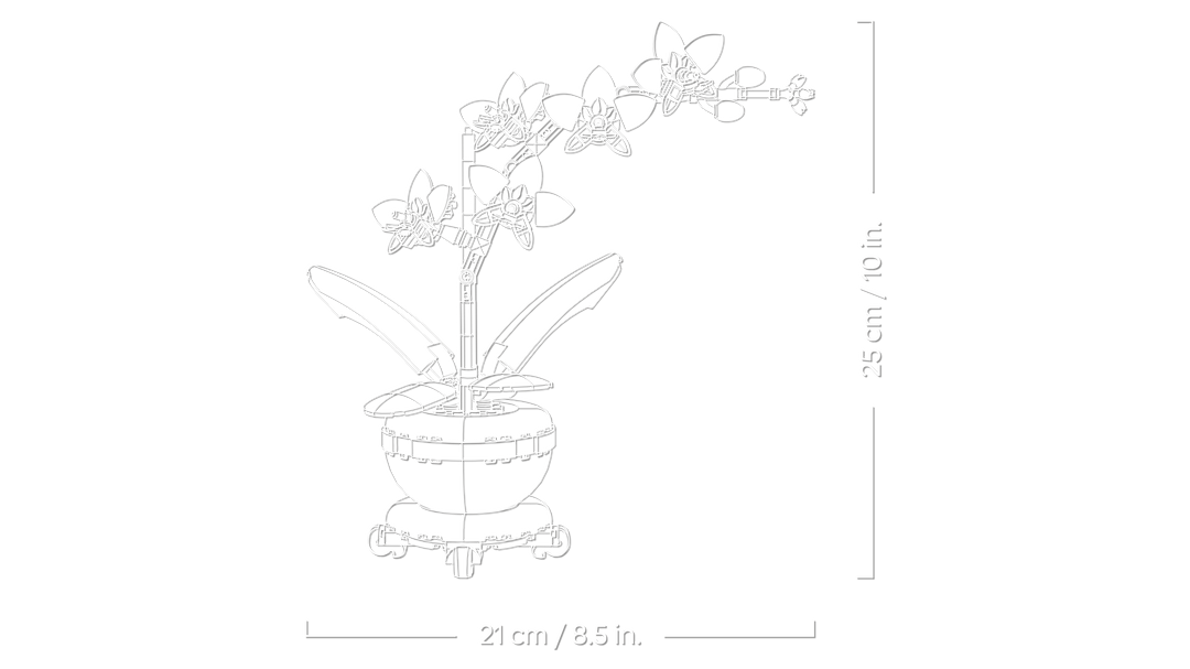 לגו Botanicals - מיני סחלב (10343)-3