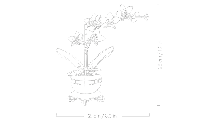 לגו Botanicals - מיני סחלב (10343)-4