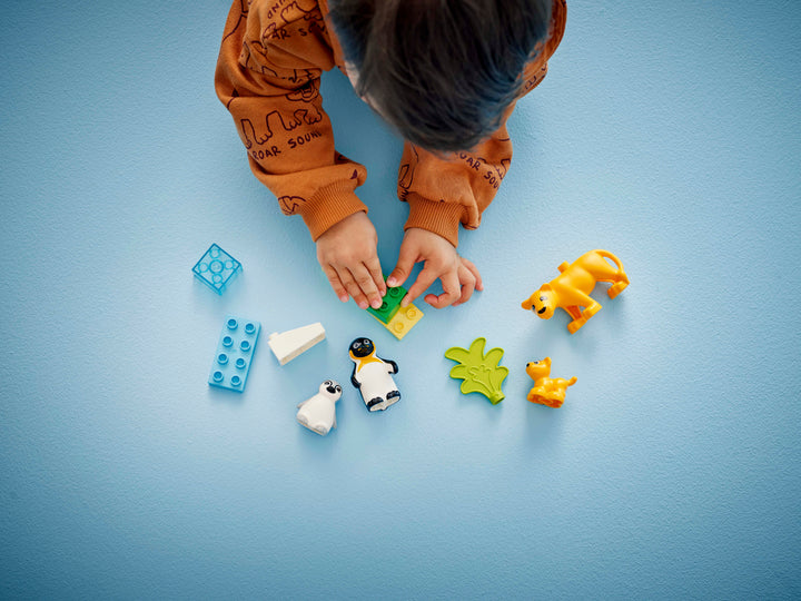 לגו DUPLO® - משפחות של חיות בר: פינגווינים ואריות (10442)-3