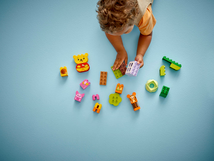 לגו DUPLO® │ Disney - מסיבת יום ההולדת של פו הדוב (10457)-5