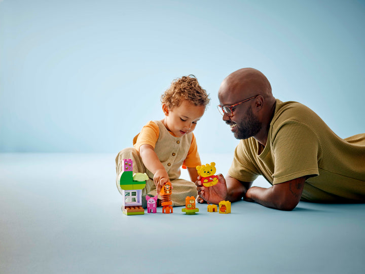לגו DUPLO® │ Disney - מסיבת יום ההולדת של פו הדוב (10457)-6