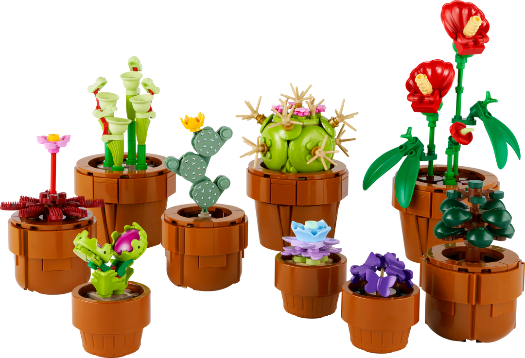 לגו Botanicals - צמחים זעירים (10329)-0