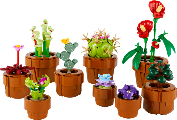 לגו Botanicals - צמחים זעירים (10329)-1