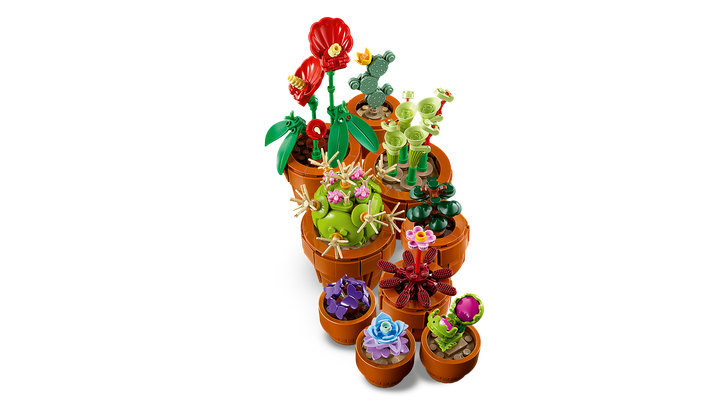 לגו Botanicals - צמחים זעירים (10329)-3