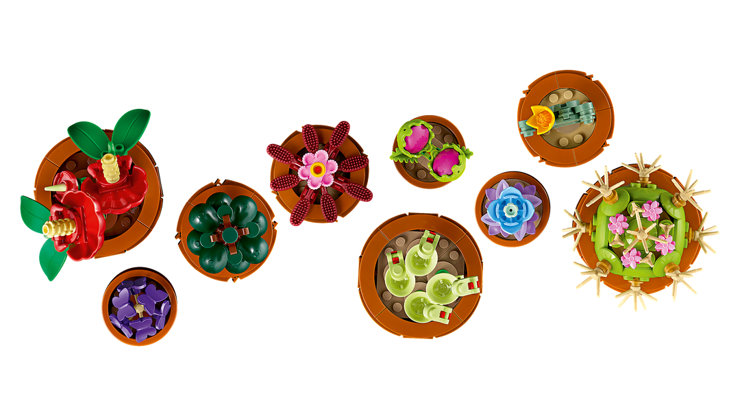 לגו Botanicals - צמחים זעירים (10329)-3