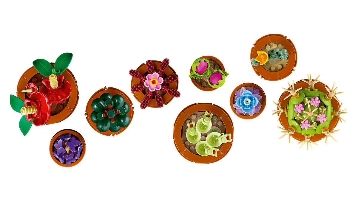 לגו Botanicals - צמחים זעירים (10329)-4