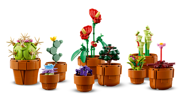 לגו Botanicals - צמחים זעירים (10329)-5