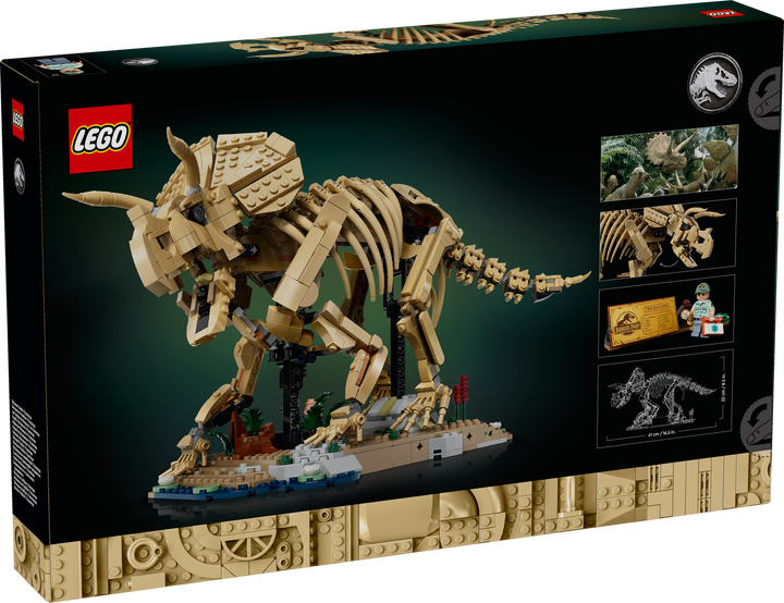 לגו Jurassic World - מאובני דינוזאורים: טריצרטופס (77985)-3