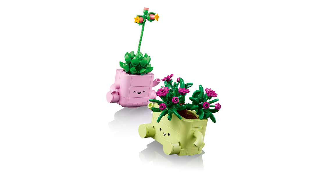 לגו Botanicals - עציצים מתנדנדים (11506)-3